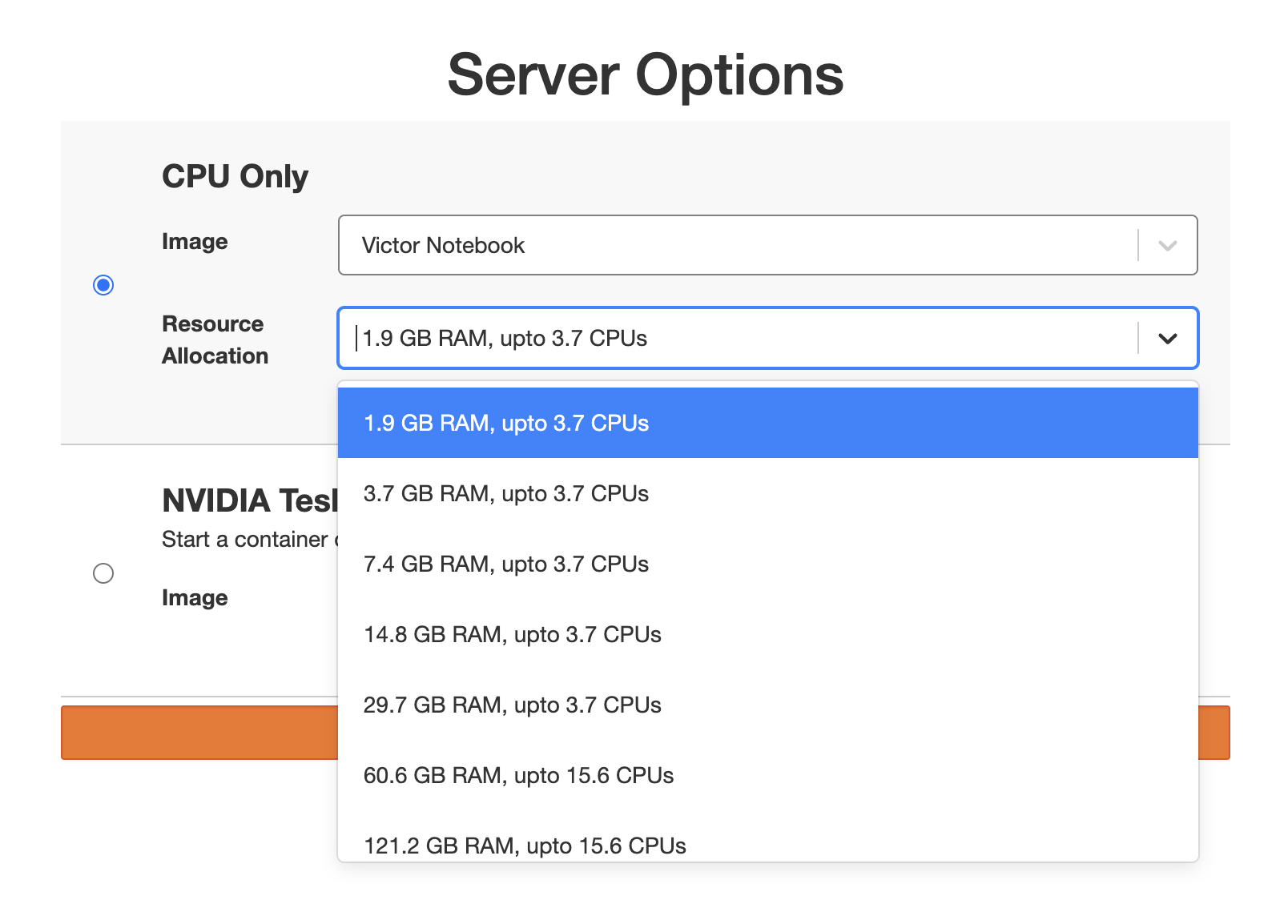 dropdown menu shown on server options screen including server sizes